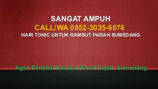 SANGAT AMPUH, CALL/WA 0852-3035-6076, Hair Tonic Untuk Rambut Parah Sumedang