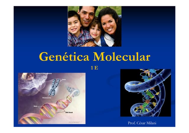 A genética molecular   1 e