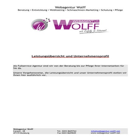 Agenturprofil Webagentur wolff