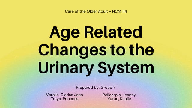 An Indication Of Aging Of The Urinary System Is Age Related Changes to the Urinary System.pdf