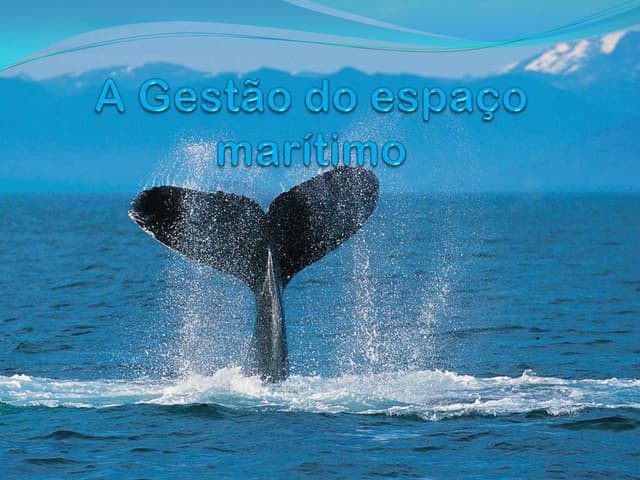 A gestão do espaço marítimo