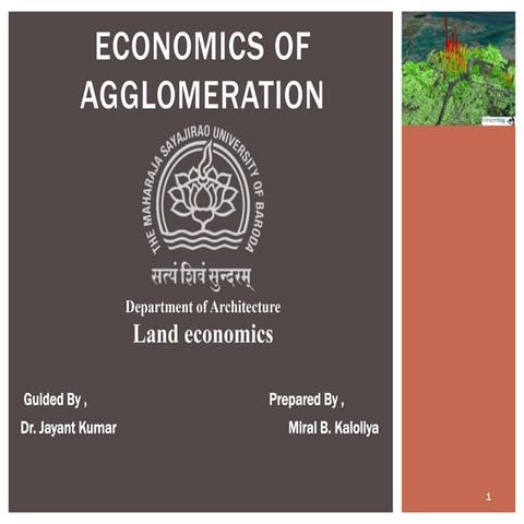 Agglomeration of economics
