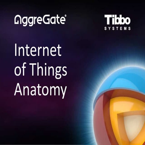 Internet of Things Anatomy