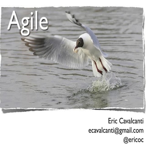 Agile