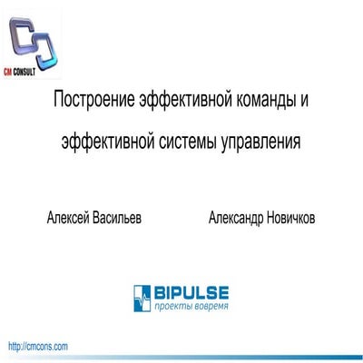 Построение эффективной команды и эффективной системы управления