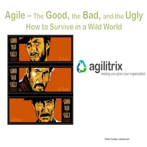 Agile - the Good, the Bad, and the Ugly