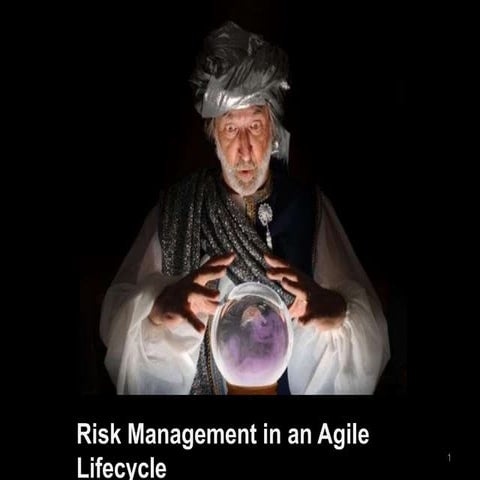 Agile-Risk-Management in Project Management