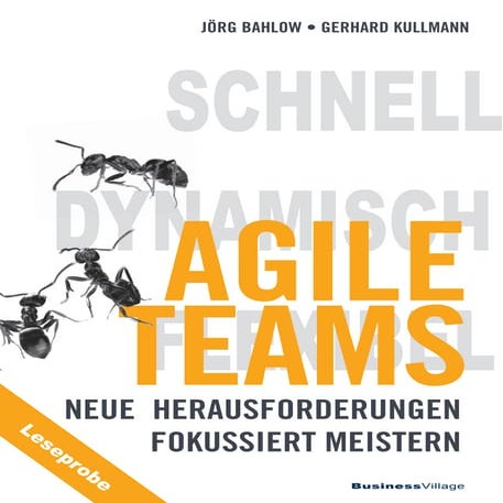 Agile Teams