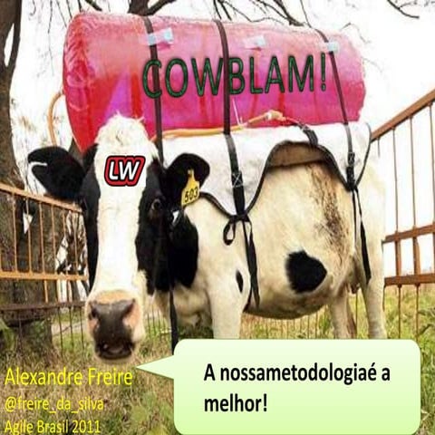 COWBLAM! - a sua metodologia é a melhor. Agile Brasil 2011
