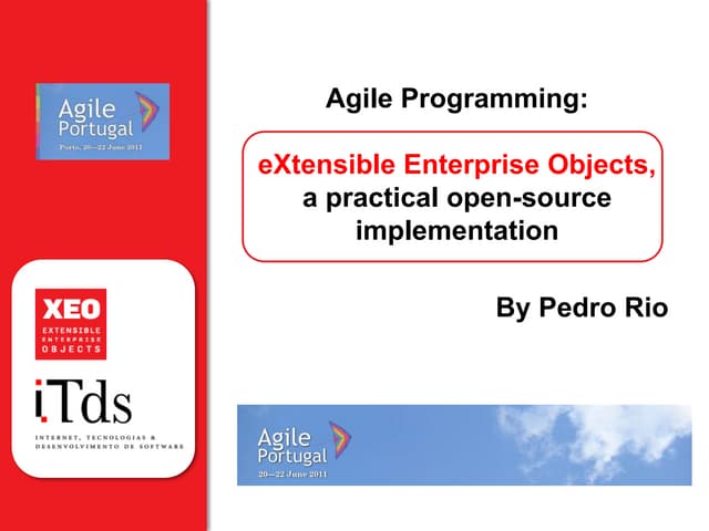 Agile2011 20min-final