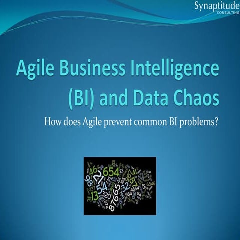 DC Business Intelligentsia January Meetup: Agile BI and Data Chaos