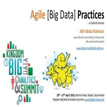 Agile Big Data Practices