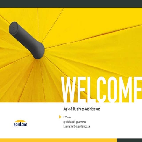 Agile & Business Architecture