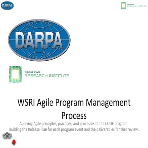 Agile Program Management Process