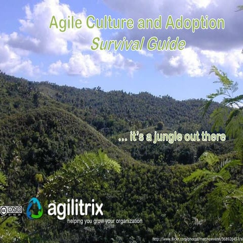 Agile culture and adoption survival guide
