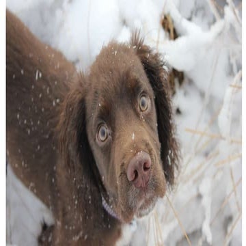 Hello... I'm your project manager