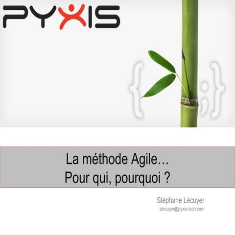 Agile expliqué aux managers