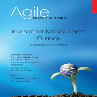 Agile Financial Times May09 Edition