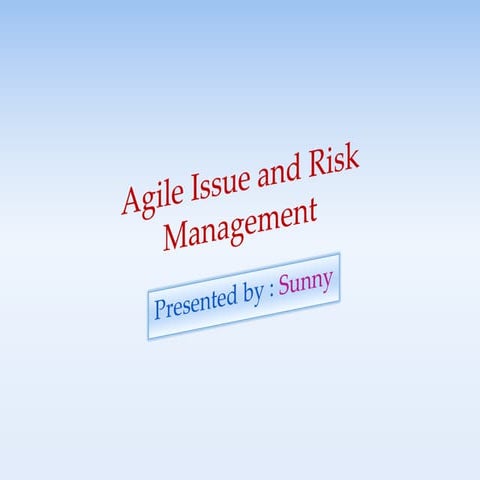 Agile issue and risk management sunny1