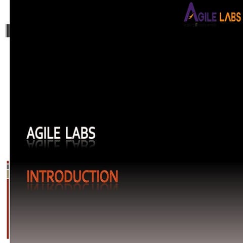 Agile labs - makers of Axpert™