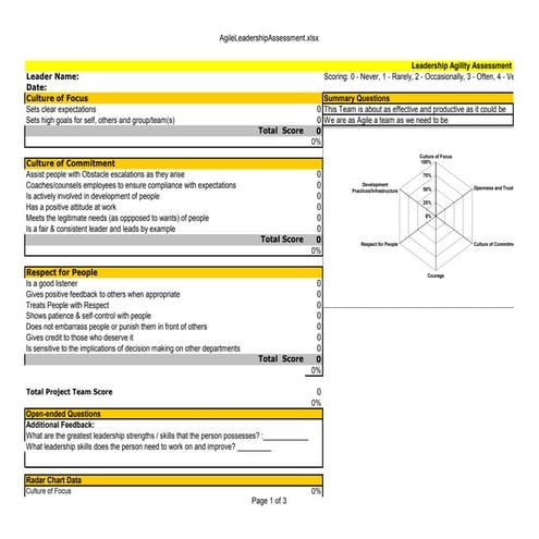 Agile leadership assessment