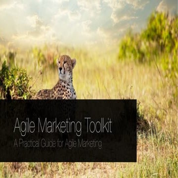 Agile Marketing Toolkit