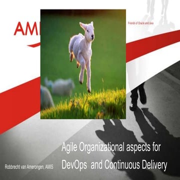 Agile Organizational aspects forDevOps  and Continuous Delivery