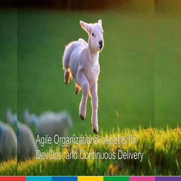 Agile organisatieaspecten voor dev ops  en continuous delivery