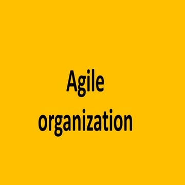Agile organization