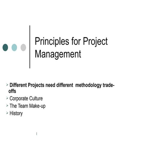 Agile Pm  Principles 100809