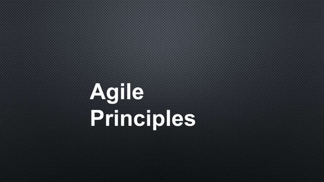 Agile Principles.pptx