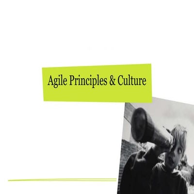 Agile principles & culture