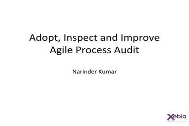 Agile Process Audit