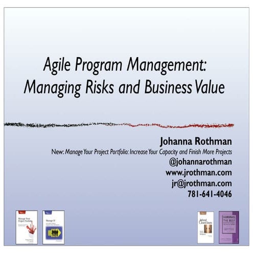 Agile programmanagement