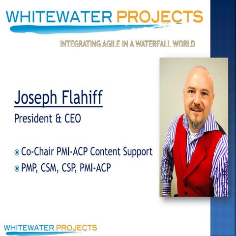 Agile project control Phoenix