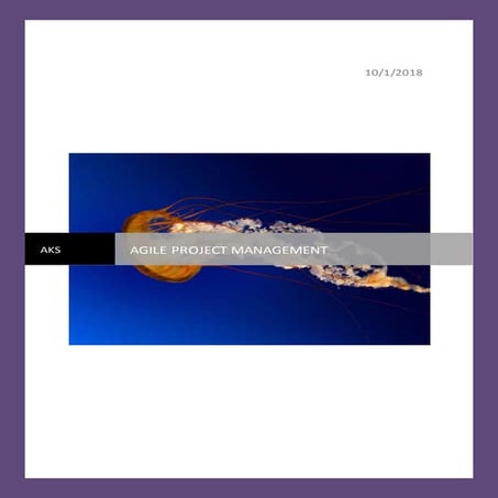 Agile project management