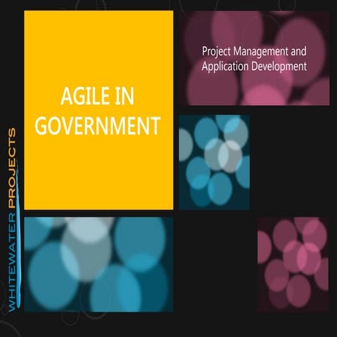Agile in Government - Presented at Pacific NW Digital Government Conf 2013