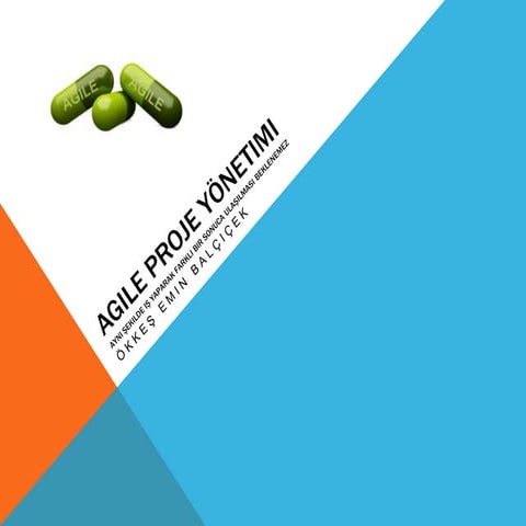 Agile proje yönetimi