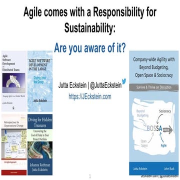 Agile Comes with a Responsibility for Sustainability: Are You Aware of it?