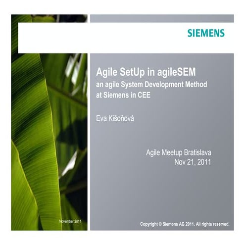 Agile sem meet_upba_nov2011_v03