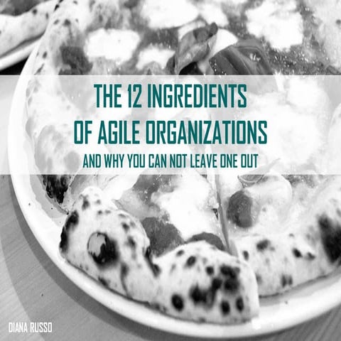 The 12 Ingredients Of Agile Organizations