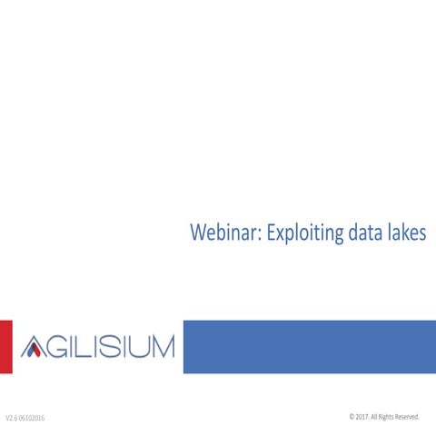 Exploiting Data Lakes: Architecture, Capabilities & Future