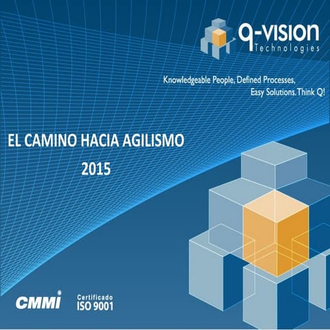 Agilismo q vision2015_final