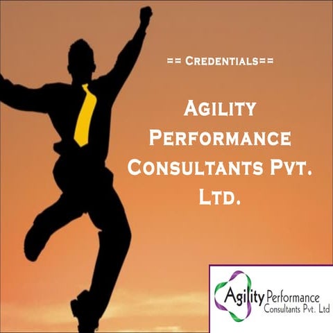 Agility Performance Consultants  Company Profile