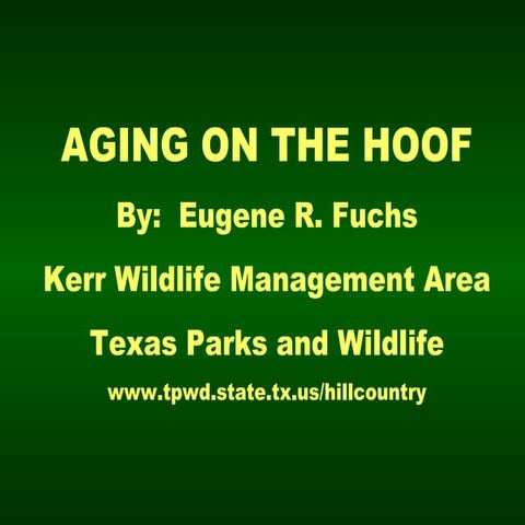 Aging On Hoof 3