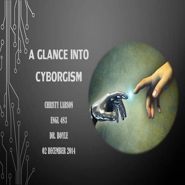 A glance into cyborgism