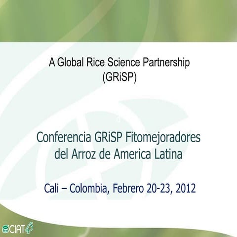 A global rice science partnership GRiSP