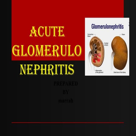 AGN.pptxhhhhhhhhhhhhhhhhhhhhhhhhhhhhhhhhh