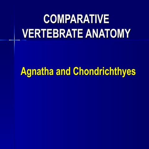 Agnathaandchondrichthyes