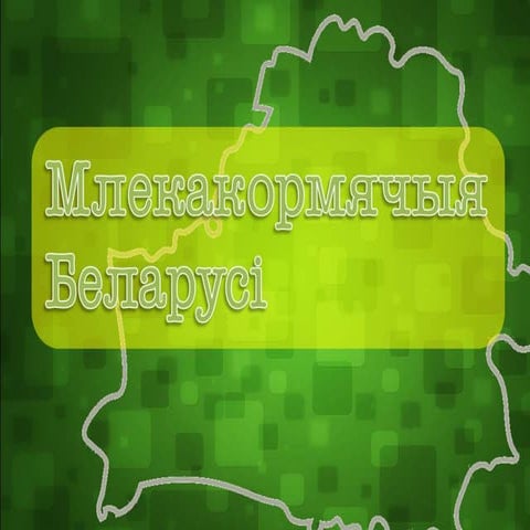 Млекакормячыя Беларусі